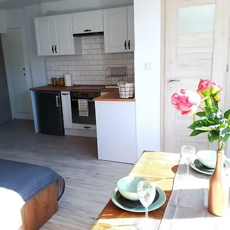 Luksusowy Apartament Przy Centrum アパート *