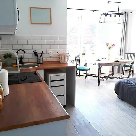 Luksusowy Apartament Przy Centrum アパート *